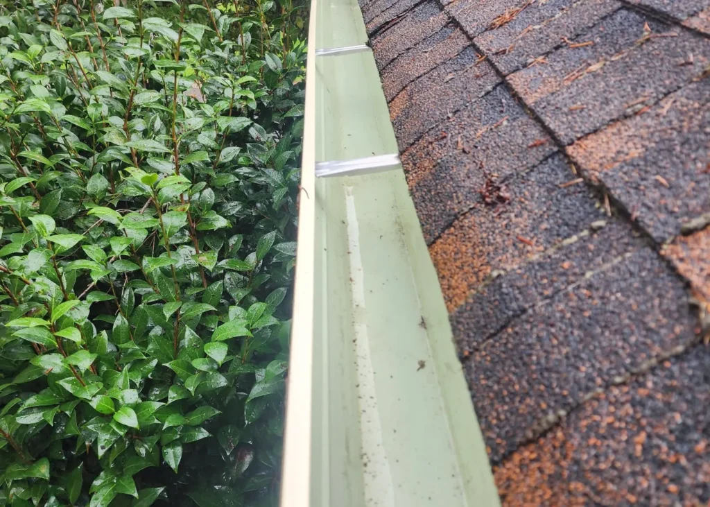 Olympia Gutter