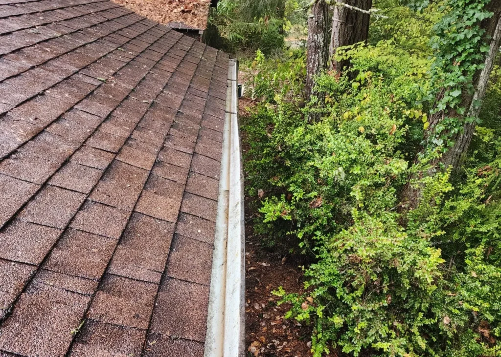 Professional Gutter
